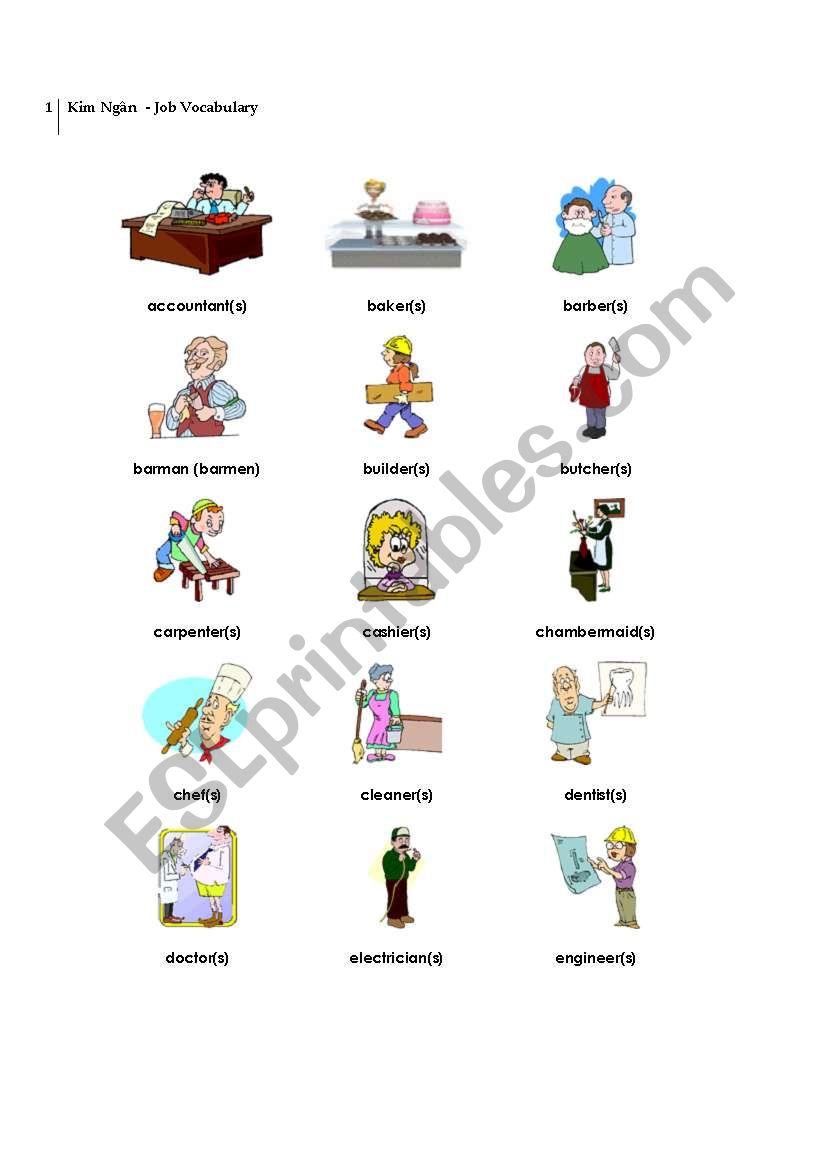 Job vocabulary worksheet