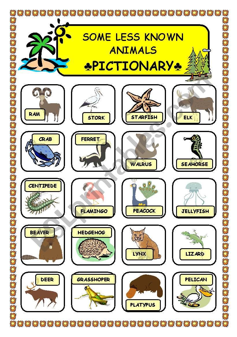 Less known animals pictionary worksheet