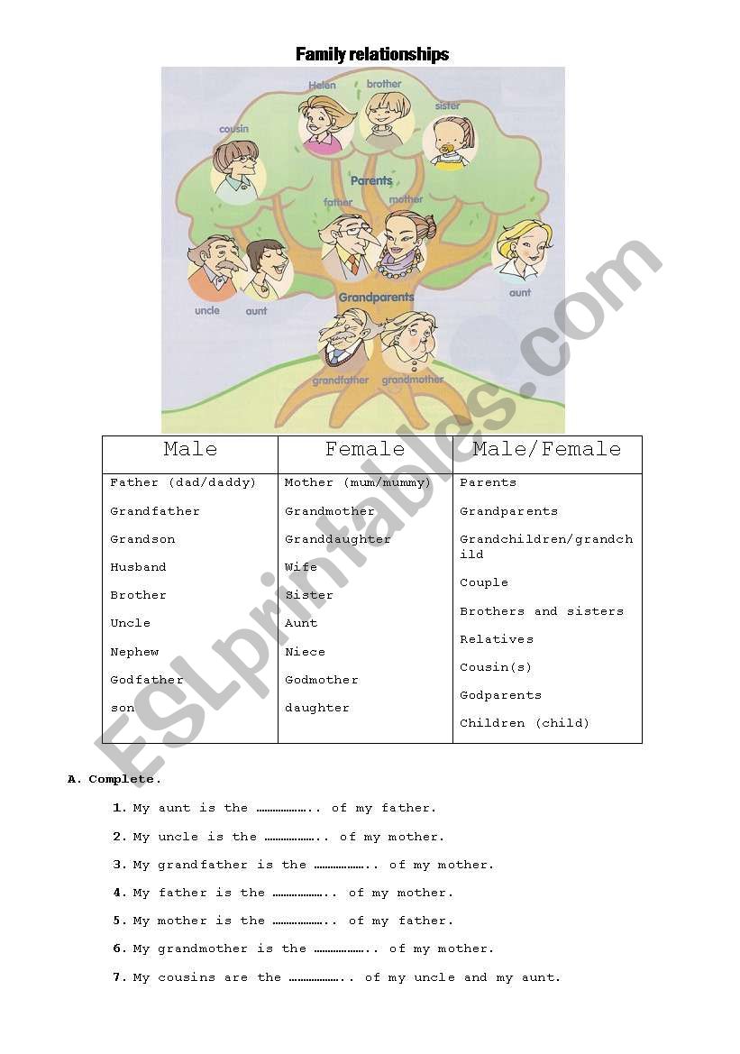 family relationships worksheet