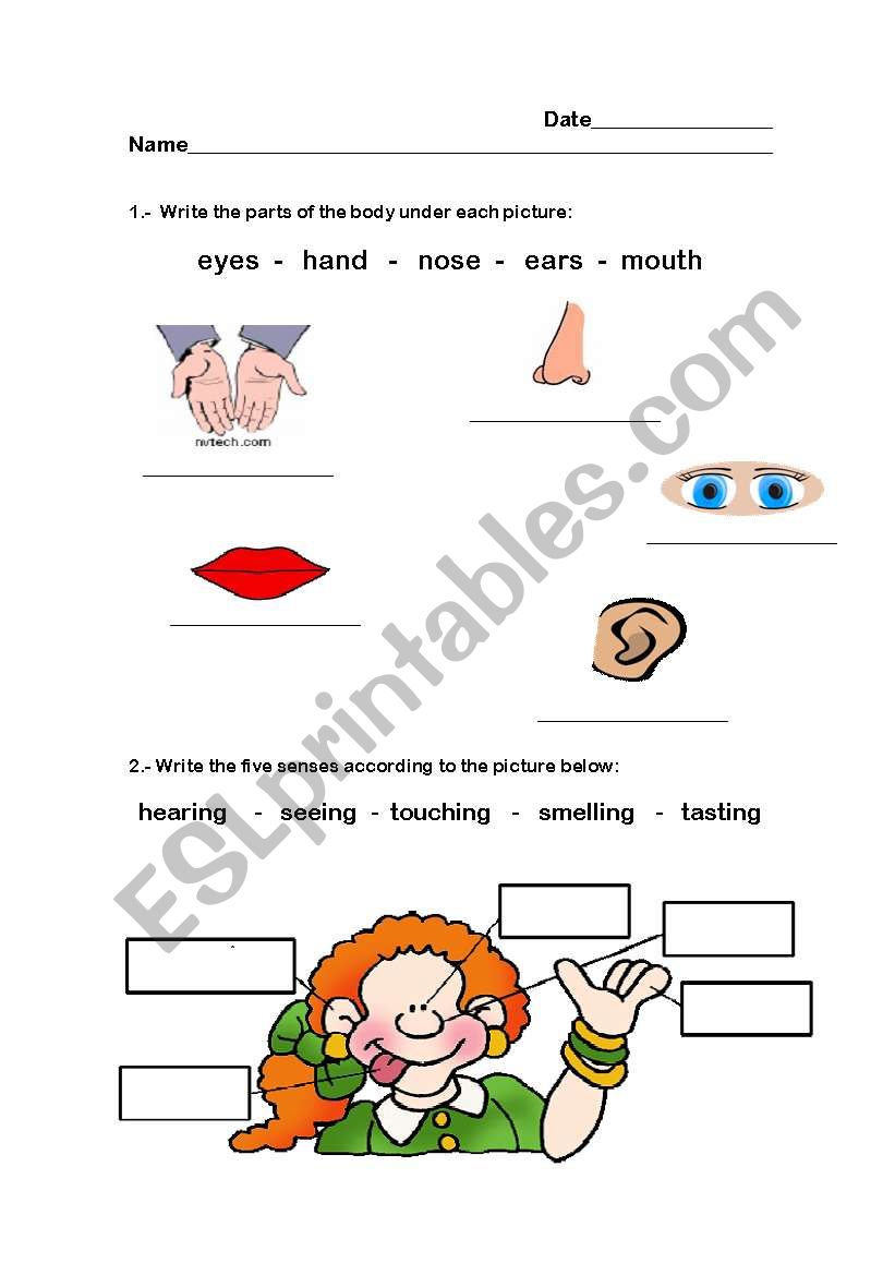 Senses worksheet