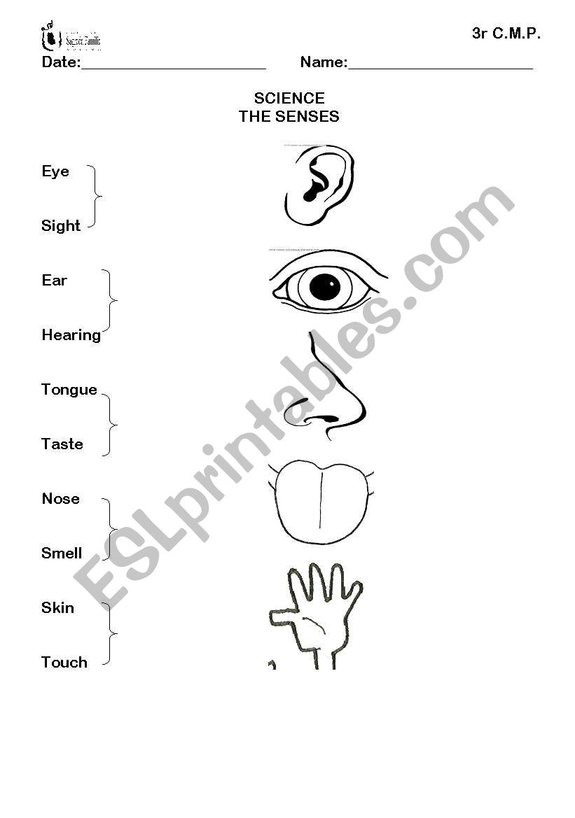 SENSES worksheet