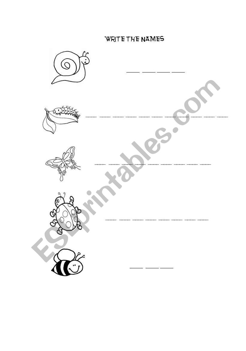 Writing bugs names worksheet