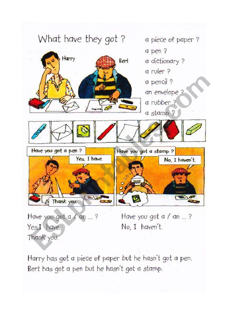 What have they got? worksheet