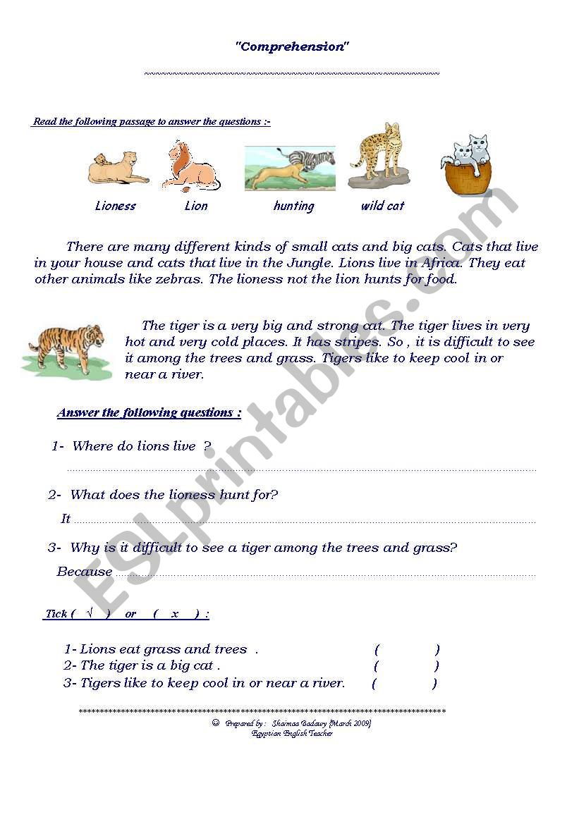 Kinds of cats worksheet