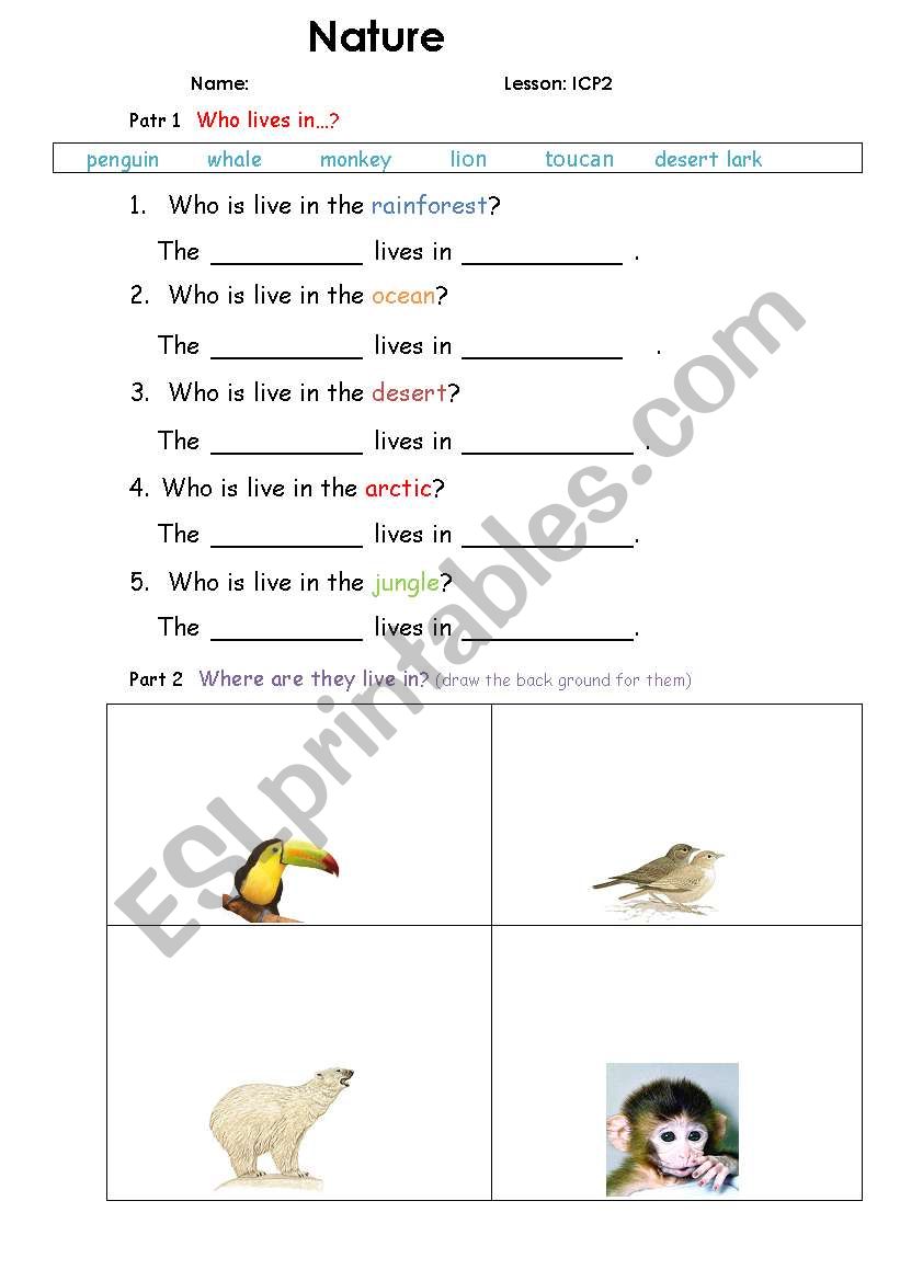 Nature worksheet