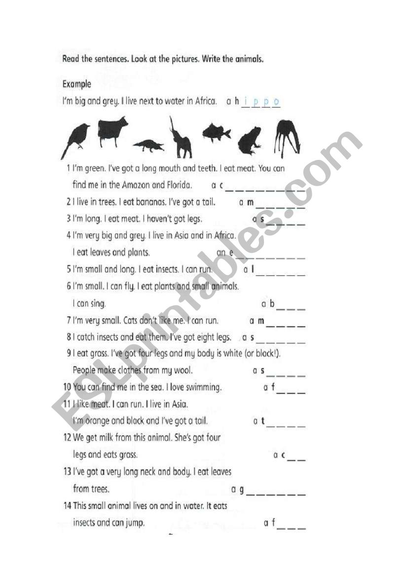 Animal description worksheet