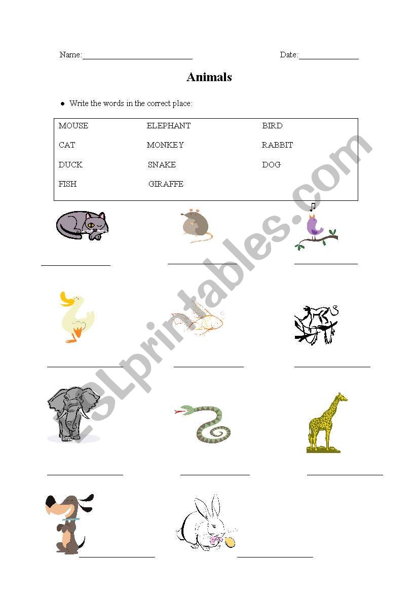 Animals worksheet