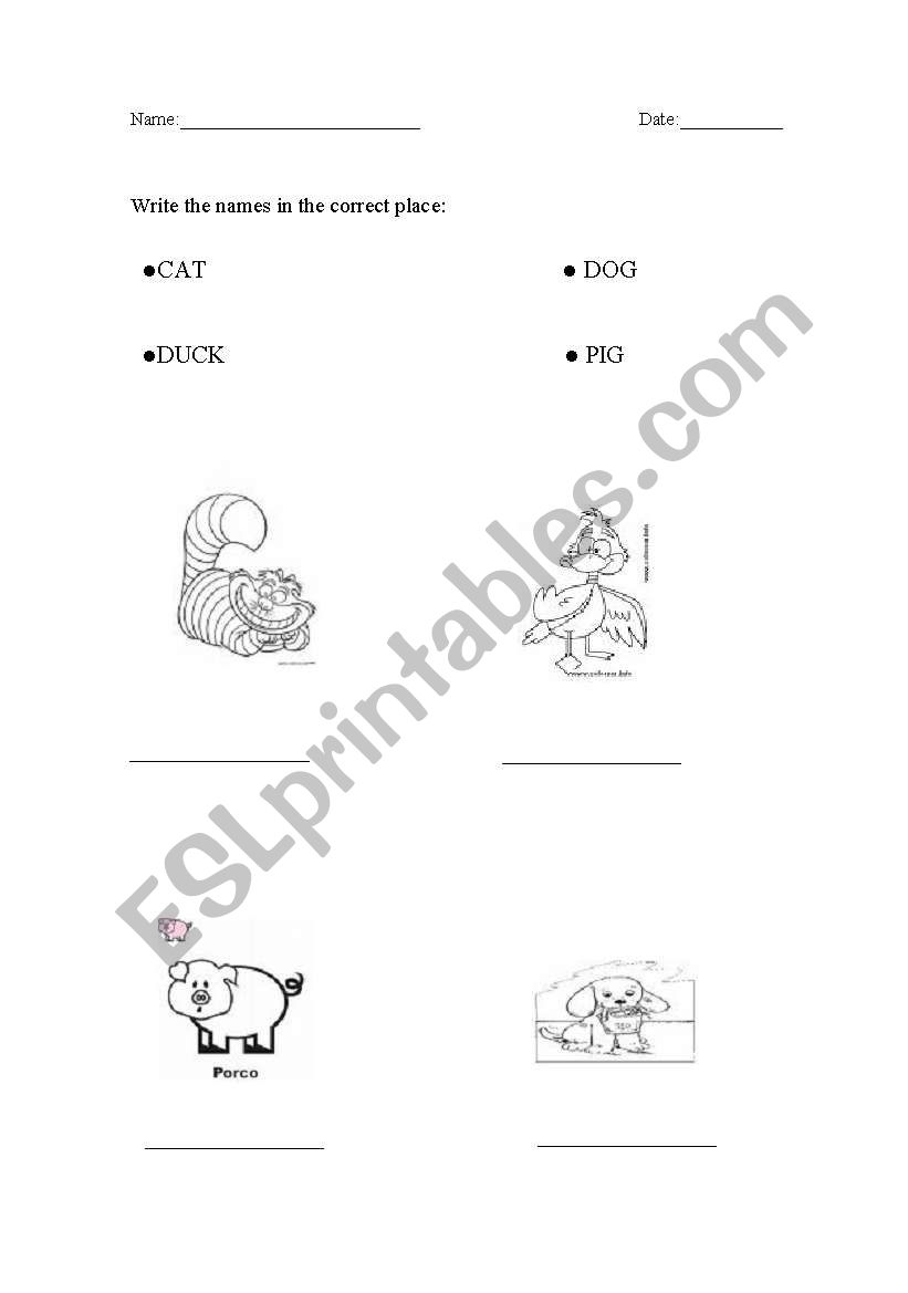 Animals worksheet