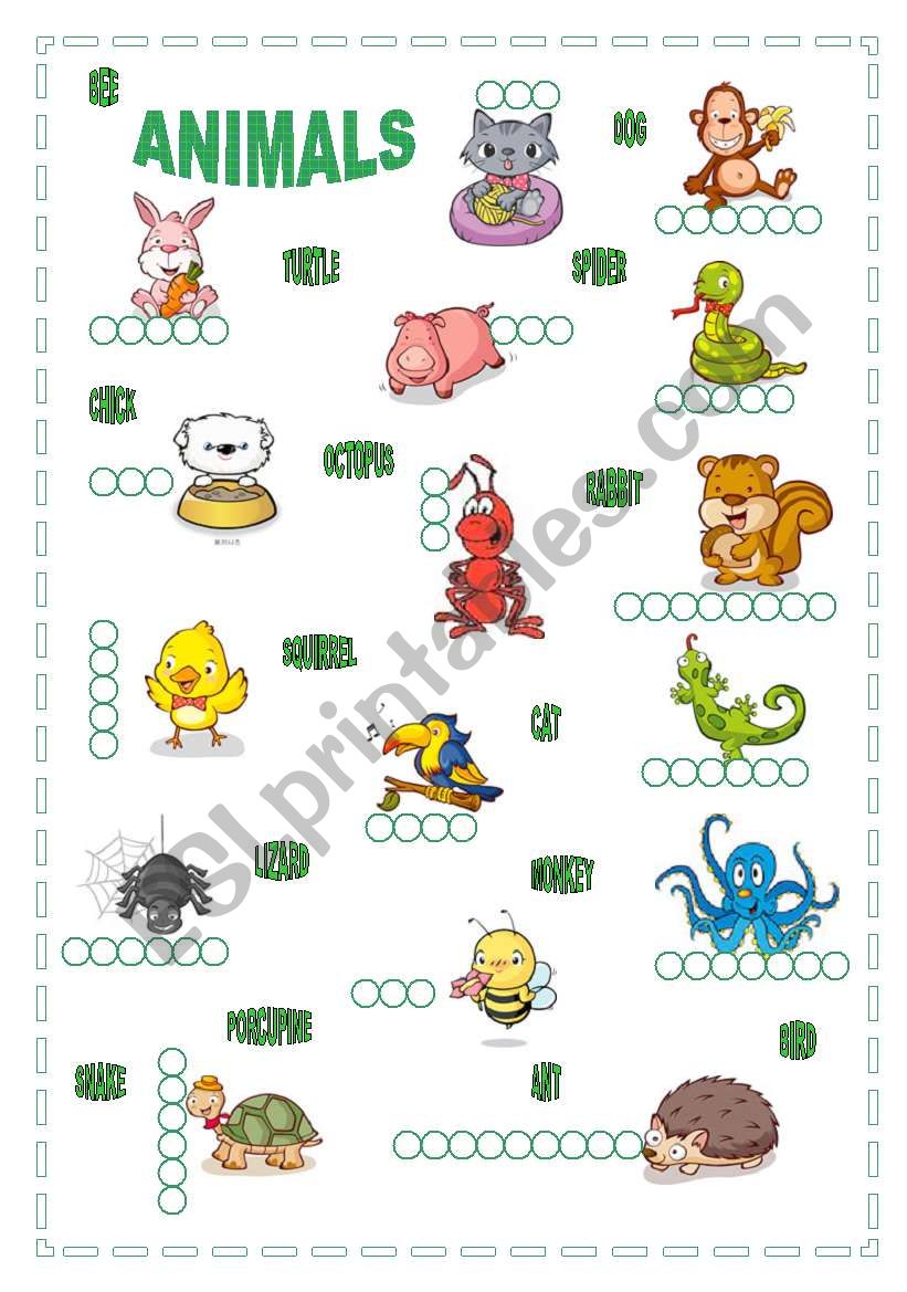 ANIMALS worksheet