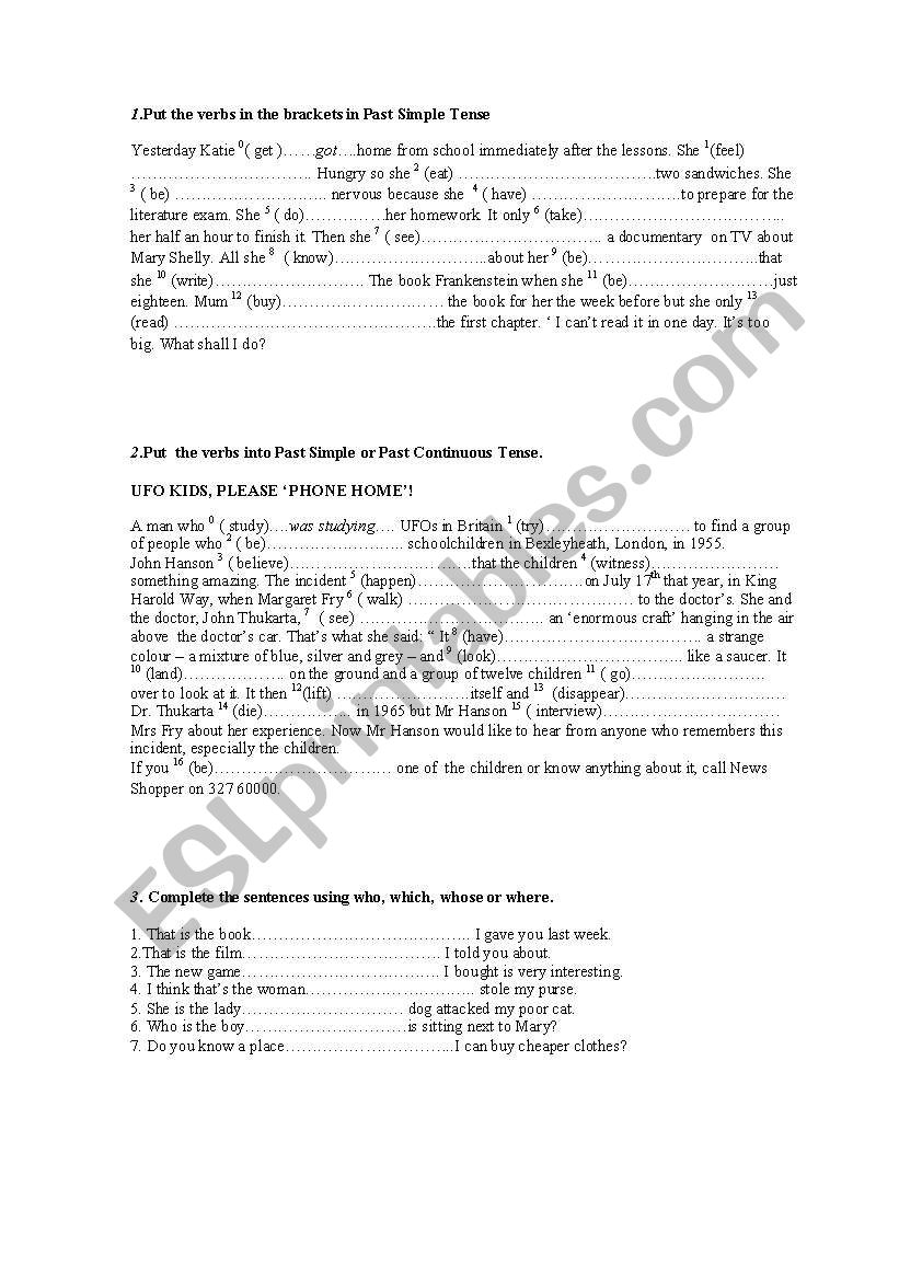 Past Simple Past Continuous worksheet