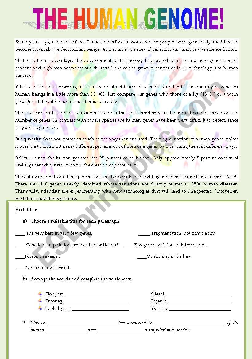 The Human Genome worksheet