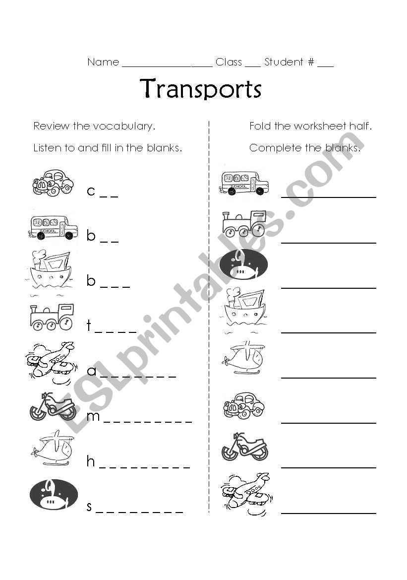 Transports Vocabulary Review worksheet