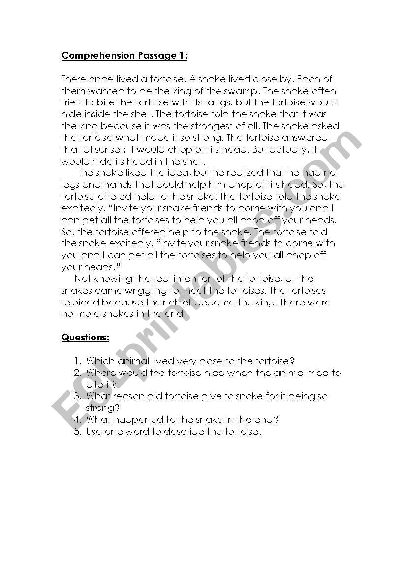 comprehension passage worksheet