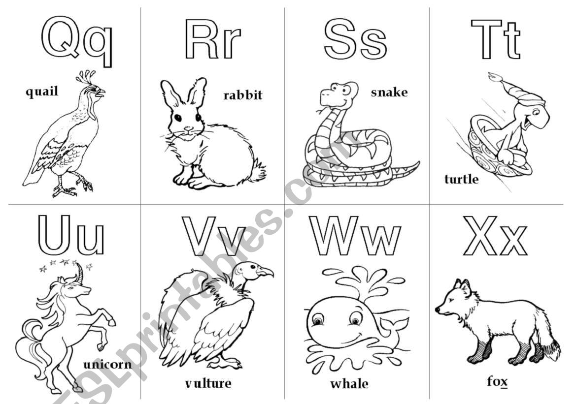 Animal Alphabet Cards  Q - X worksheet