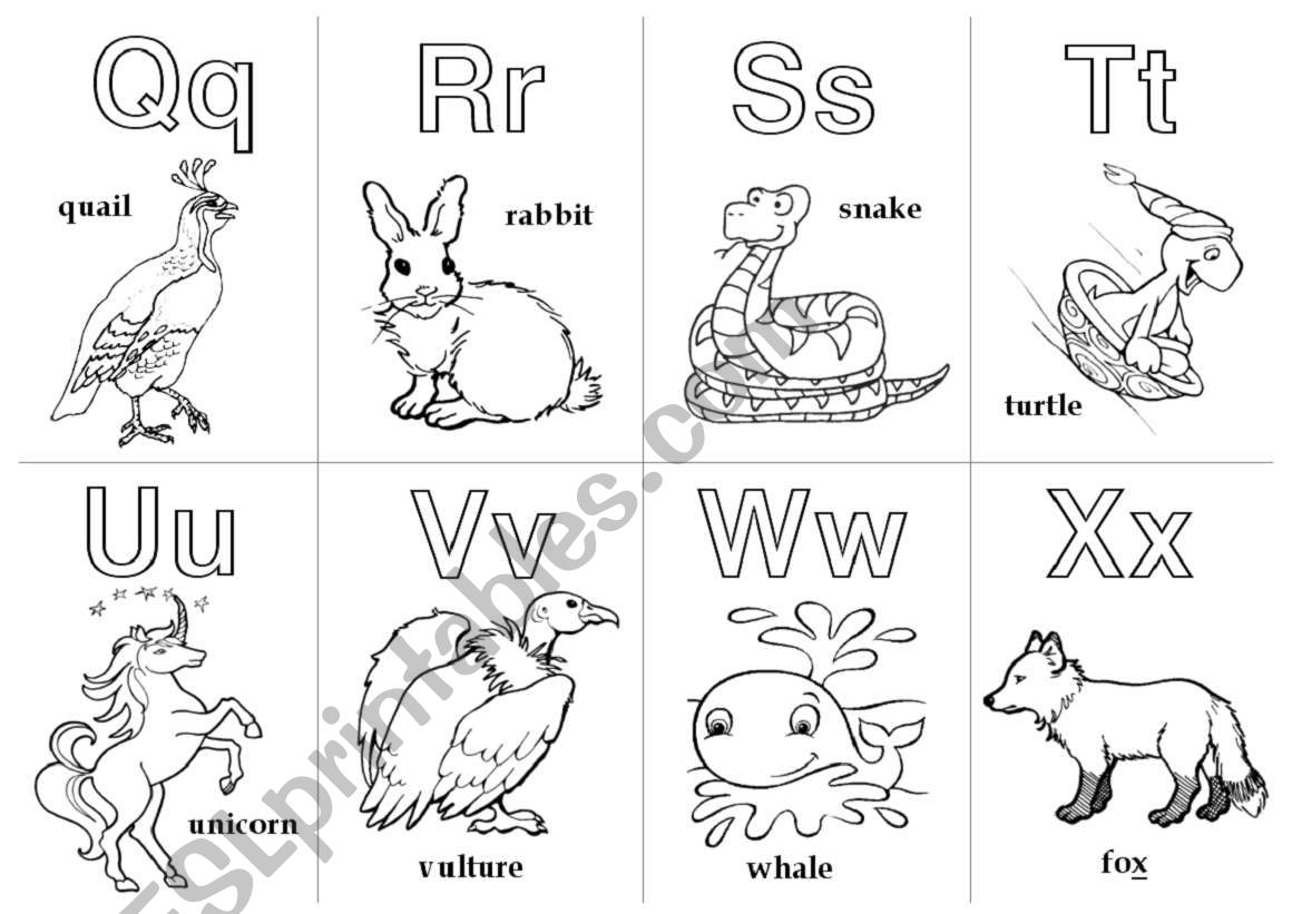 Animal Alphabet Cards  Q - X worksheet
