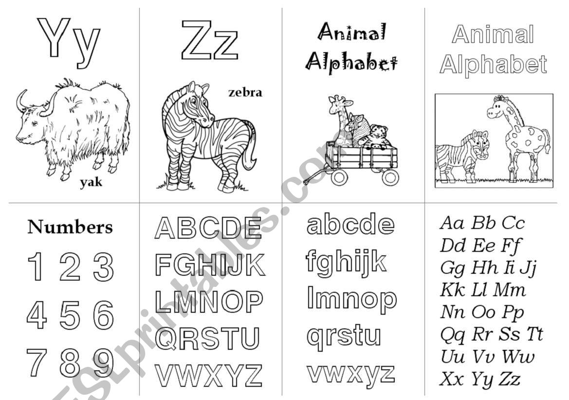 Animal Alphabet Cards  Y - Z worksheet