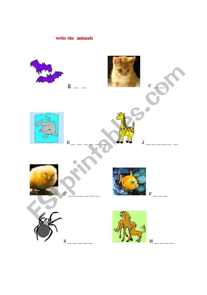 write the animals worksheet