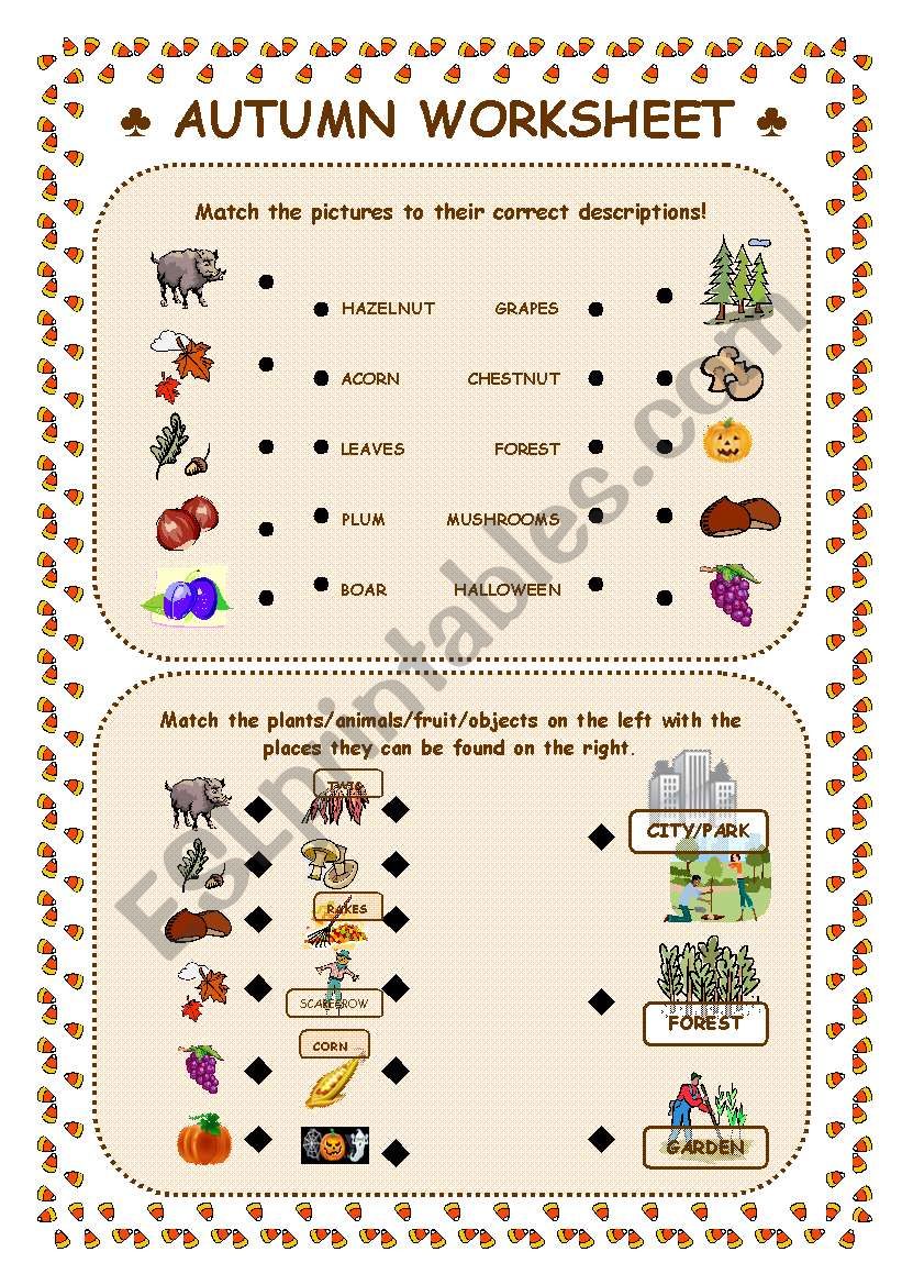 Autumn worksheet worksheet