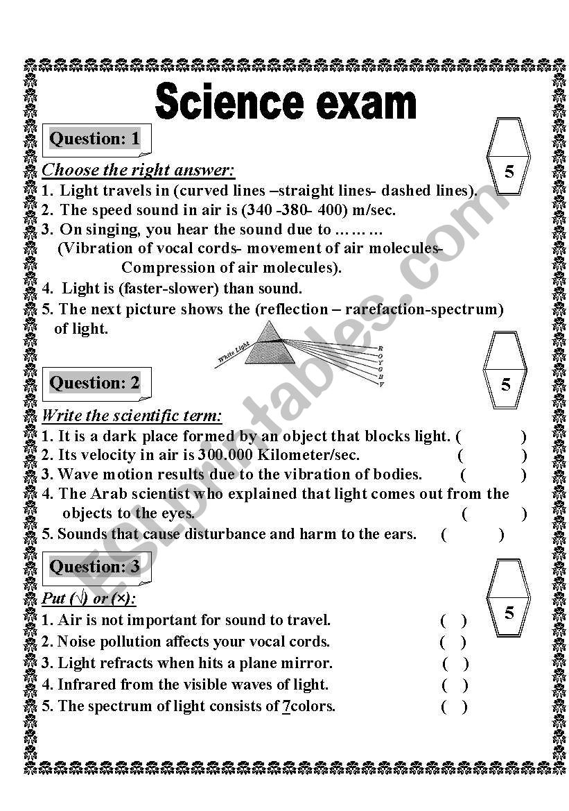 activity work sheet worksheet