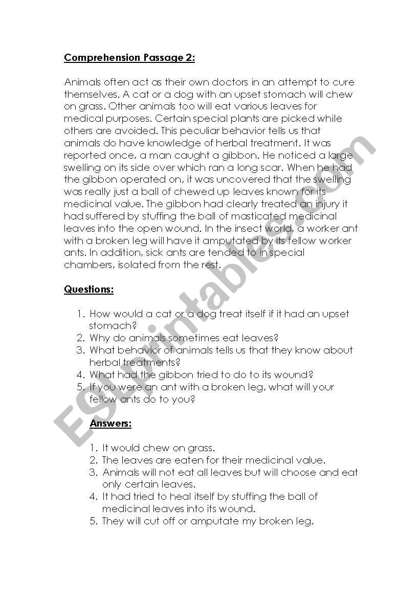 comprehension passage worksheet