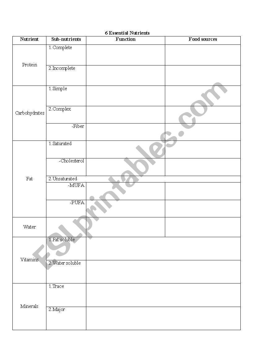 6 Essential Nutrient Chart worksheet