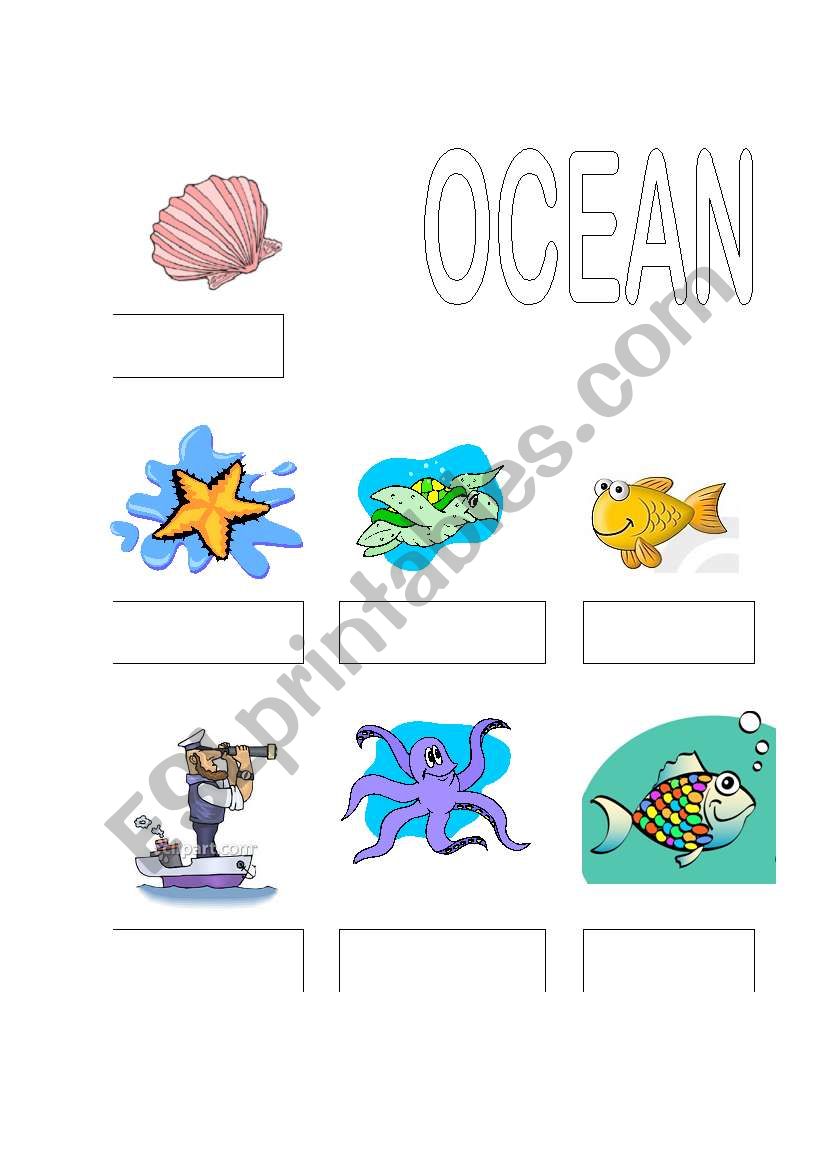 ocean names worksheet