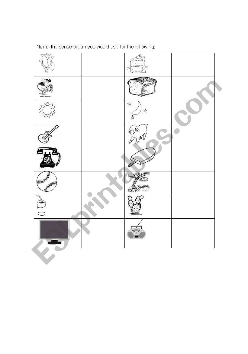 Sense organs worksheet