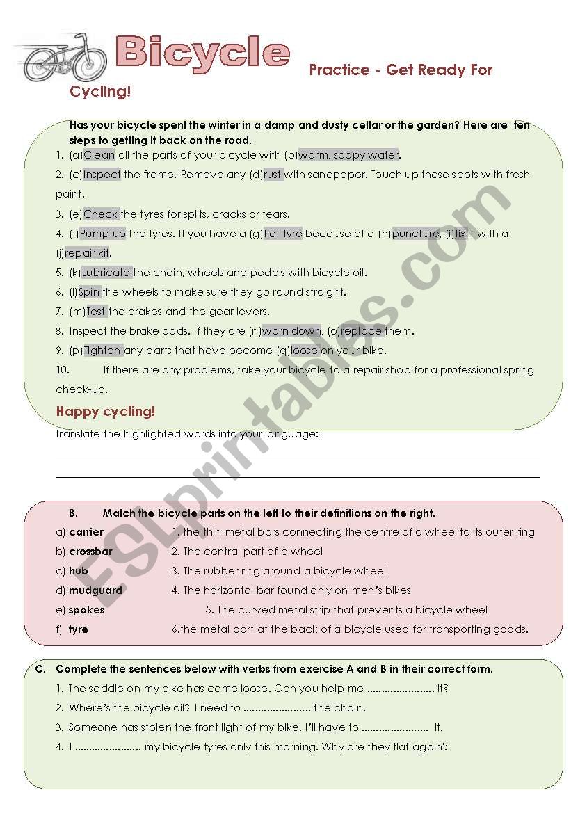 Bicyle - exercises (2/2) worksheet