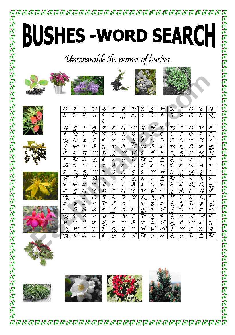 Bushes - Word search worksheet