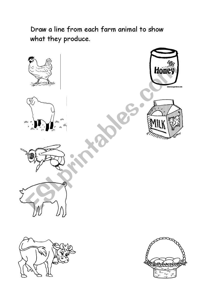 English worksheets: Animals and their produce