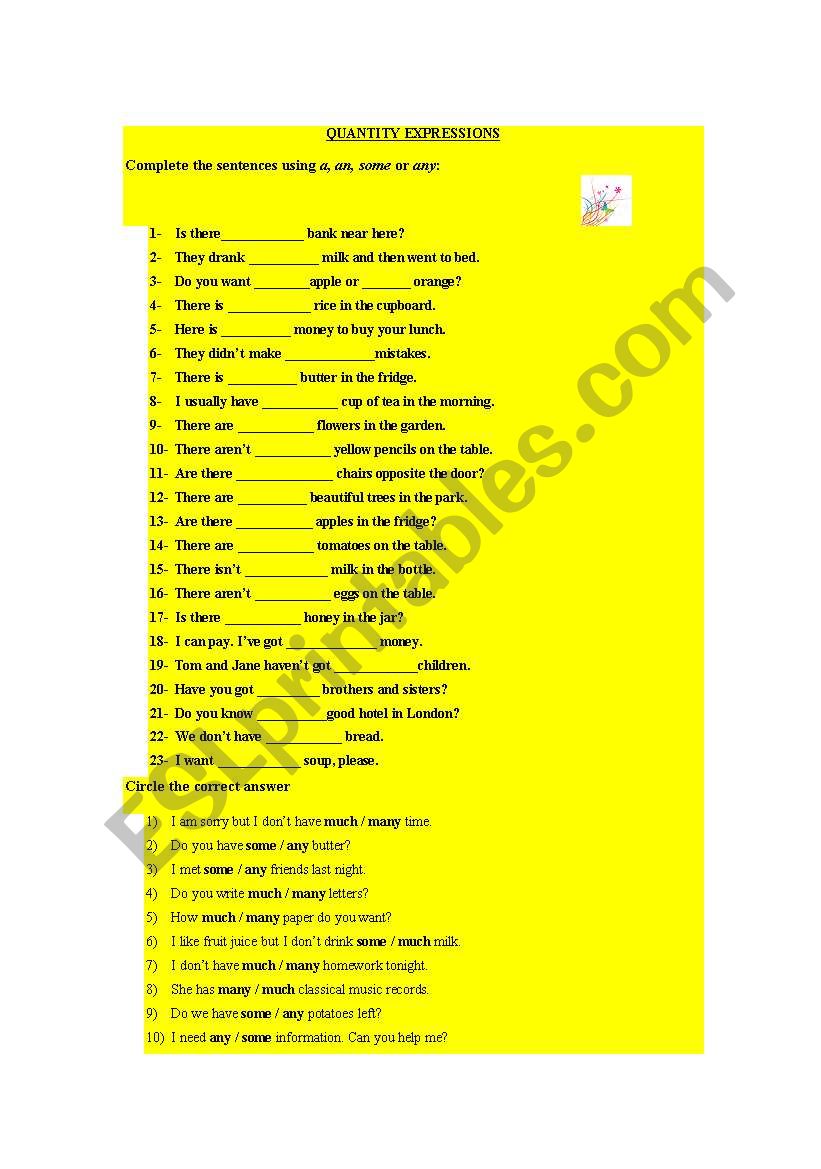 quantity expressions worksheet