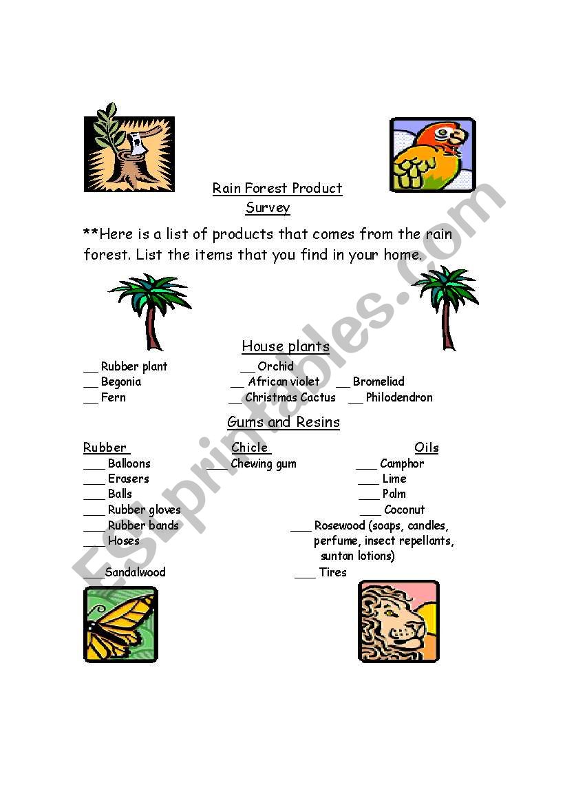Rain Forest Survey  worksheet
