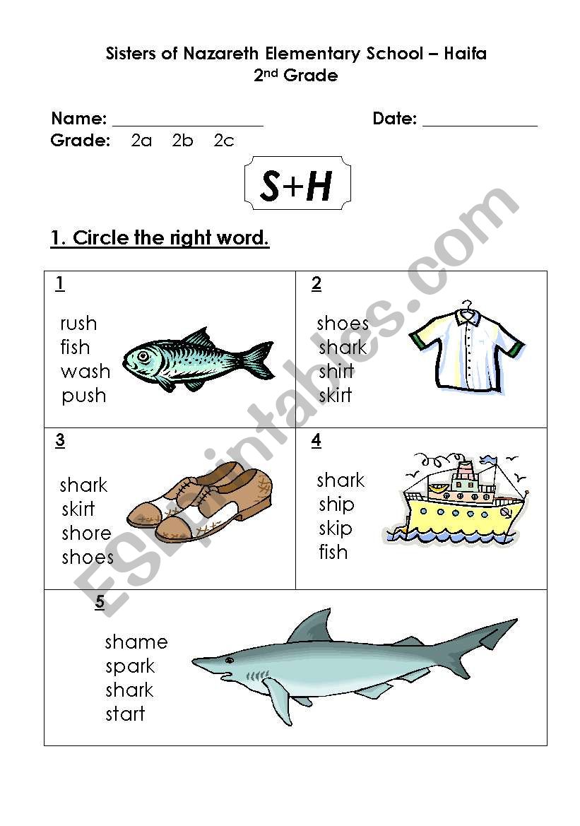 ponics sh worksheet