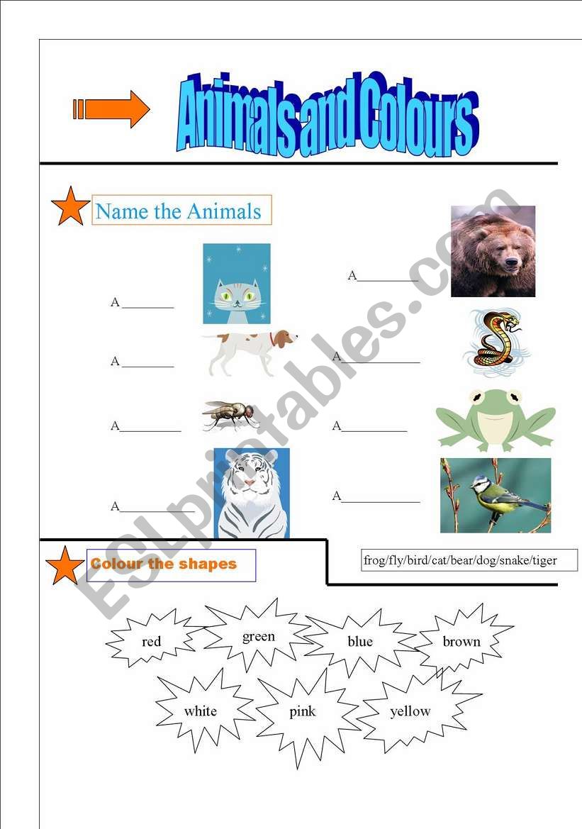 Fun Animal Pictures worksheet