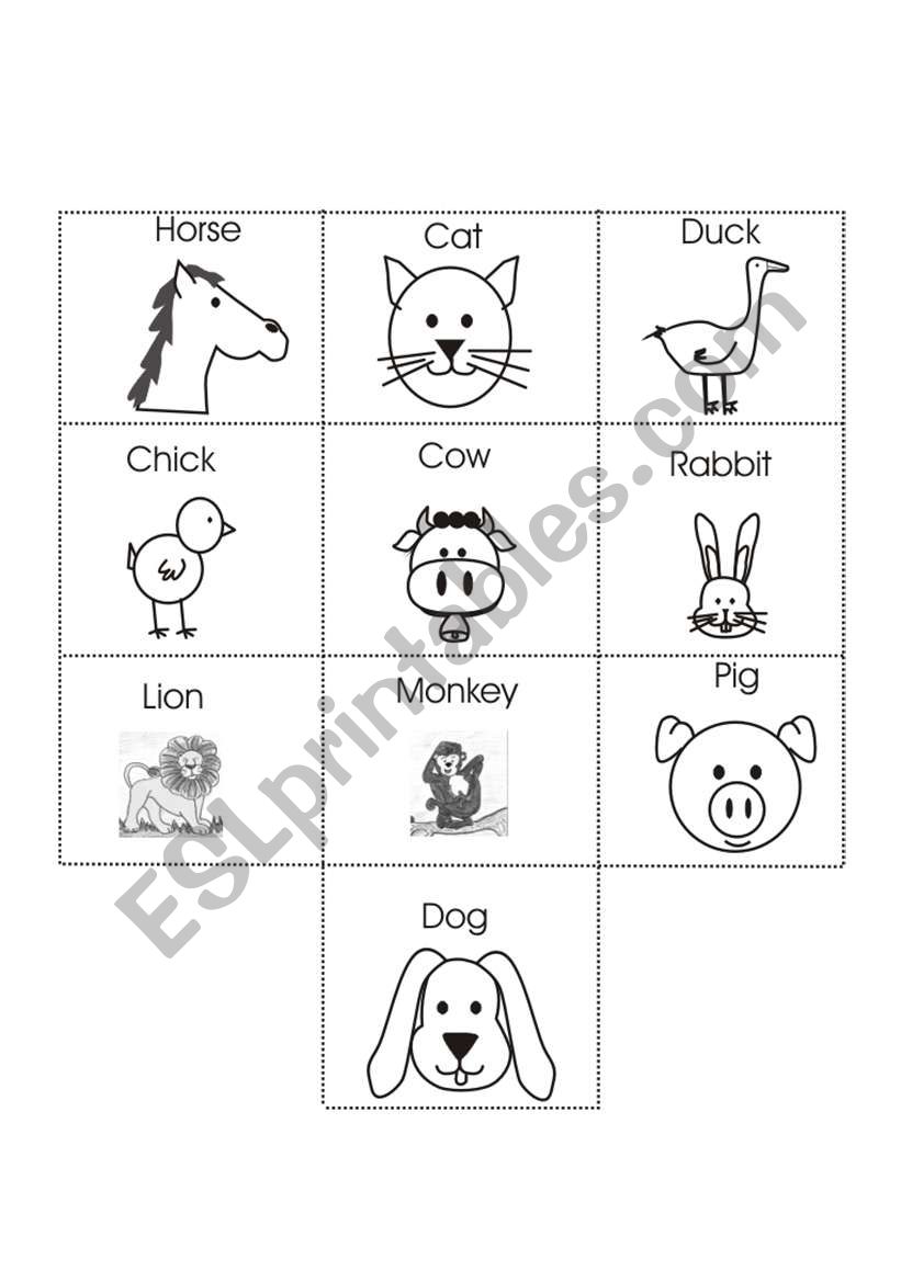 Animals Concentrate worksheet
