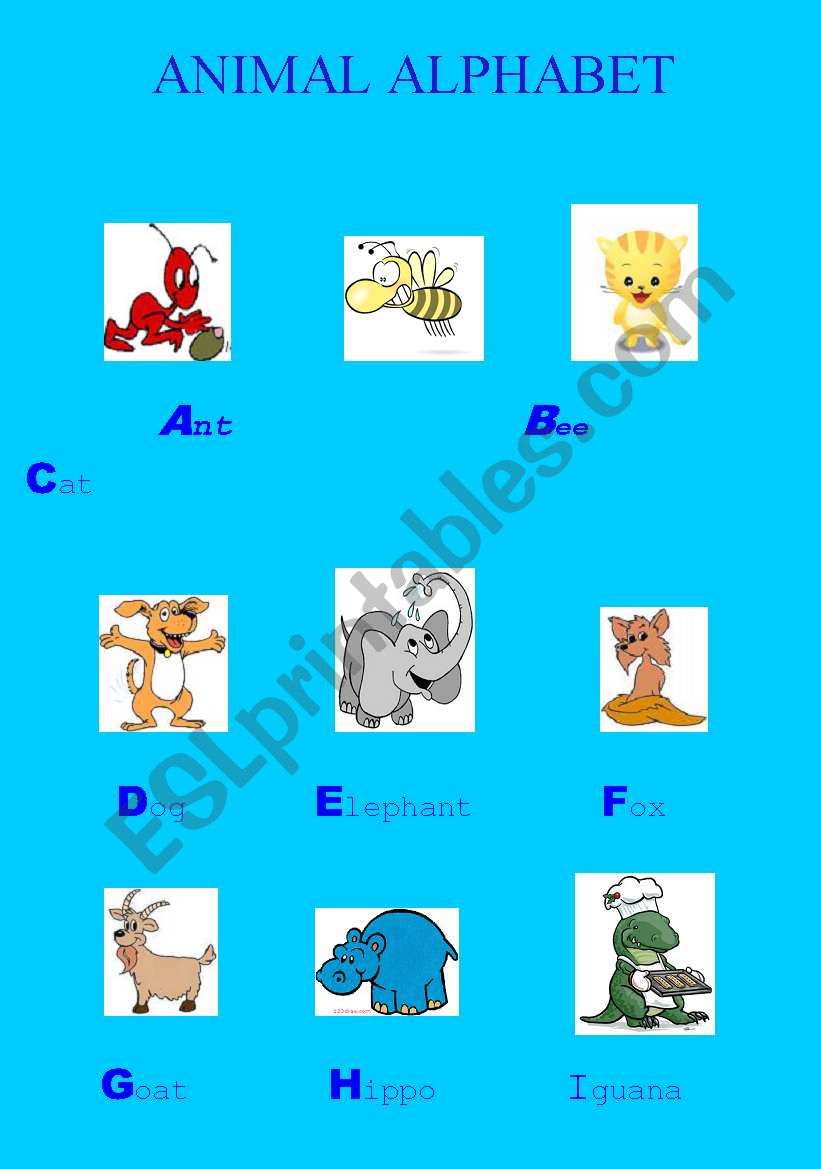 Animal Alphabet worksheet