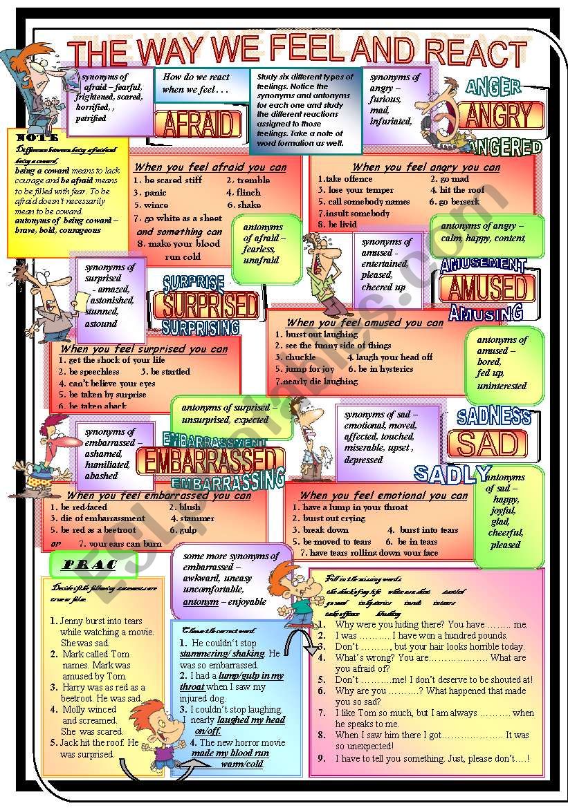 The way we feel and react worksheet