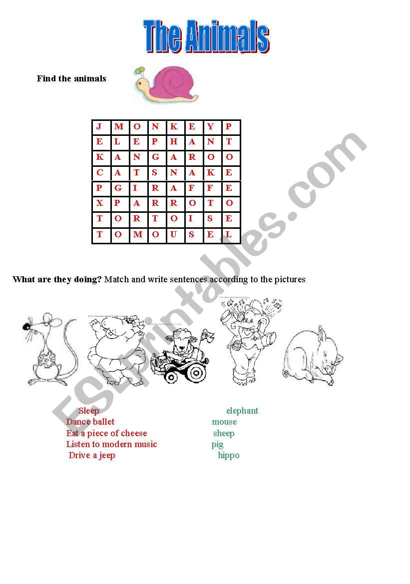 The animal world worksheet