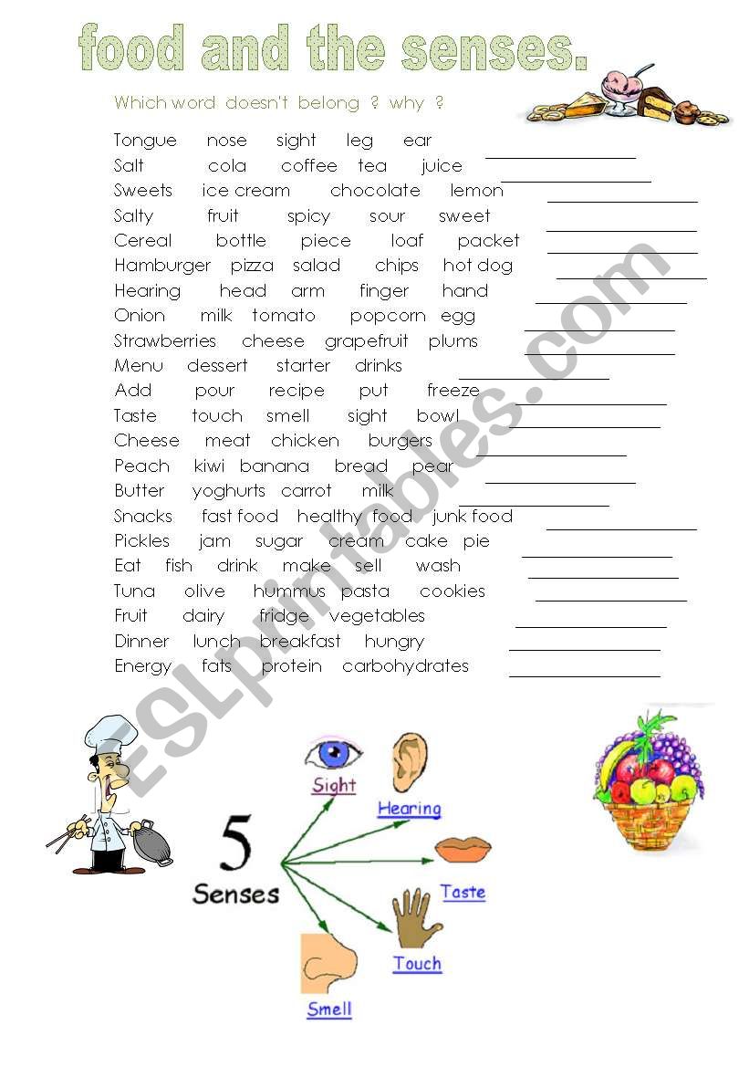 food and the senses worksheet