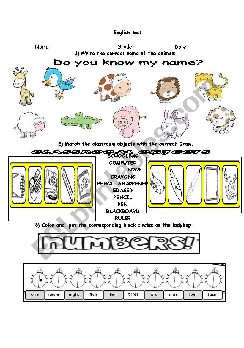 english test numerals, animals, clasroom objects