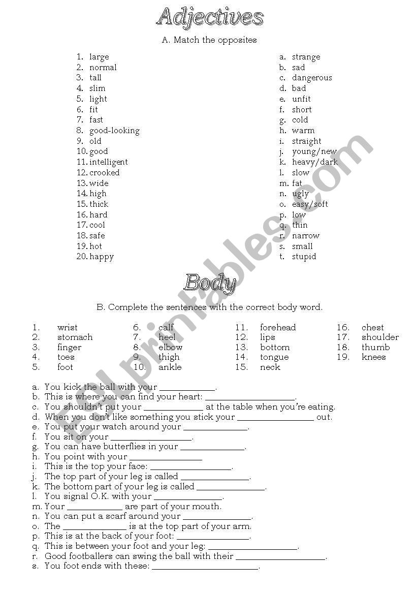 The Body  worksheet