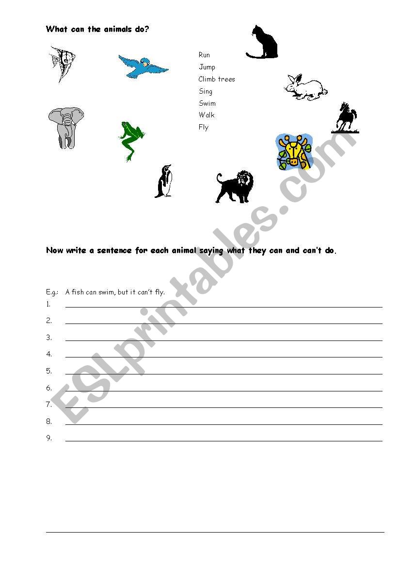 What animals can and cant do worksheet