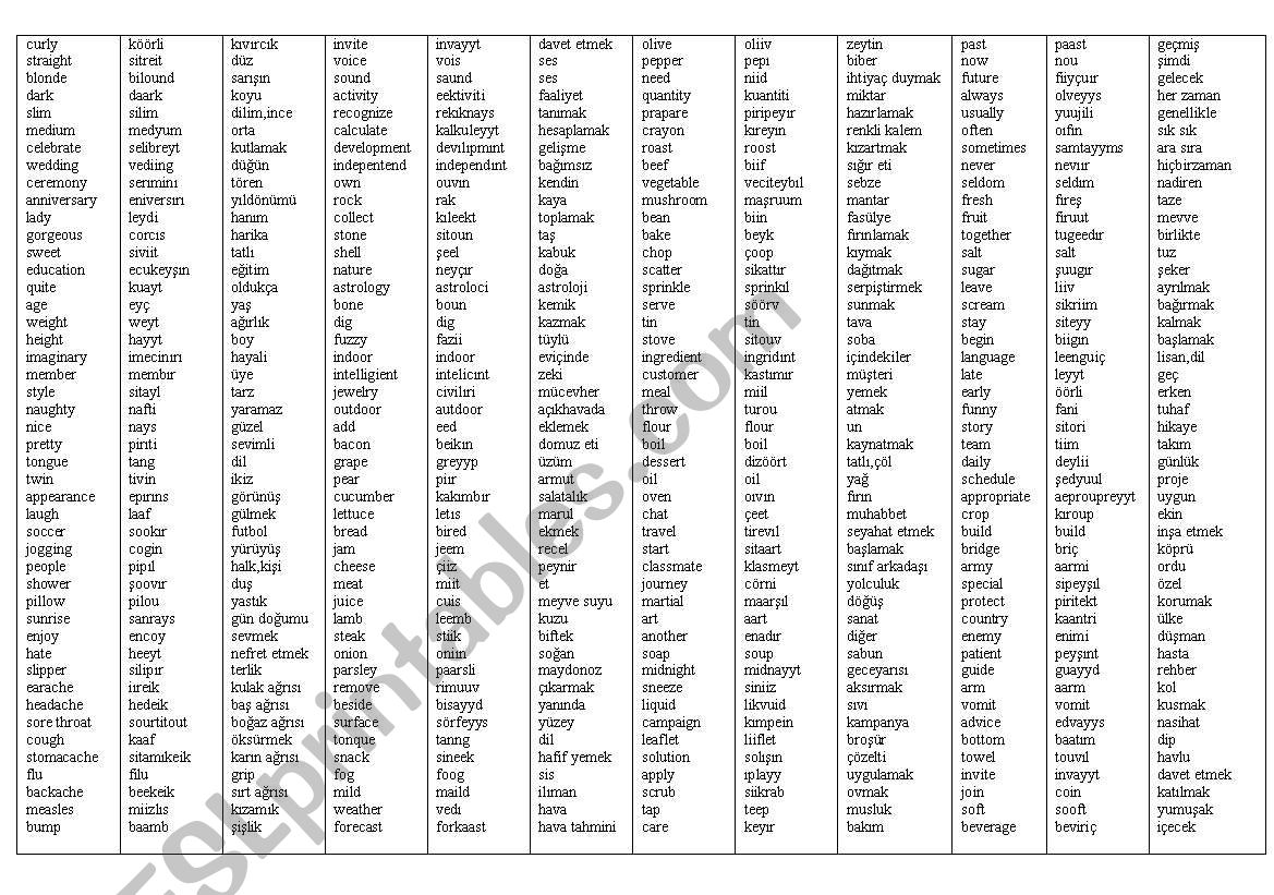 word list.eng/trkish worksheet