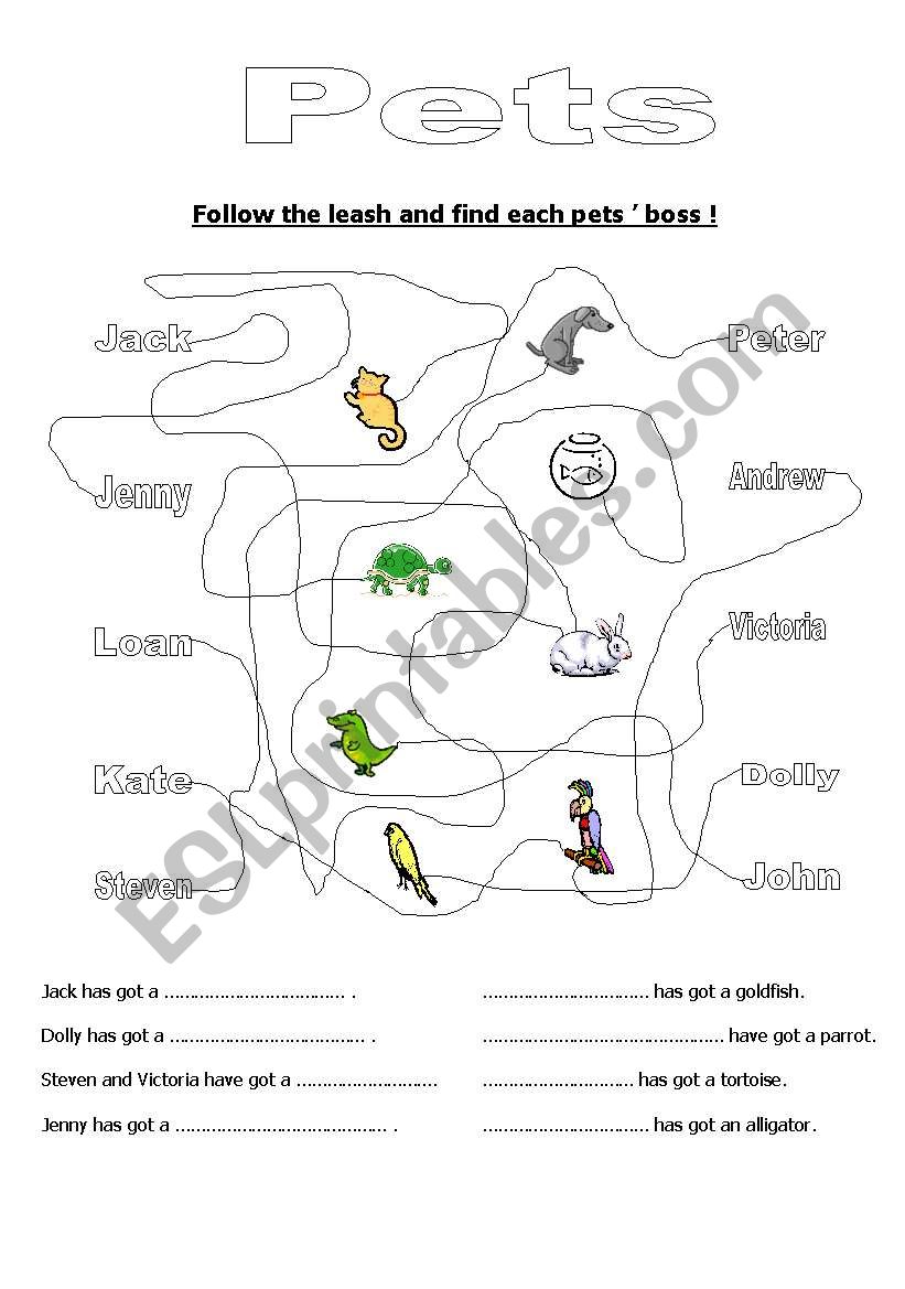 Pets worksheet