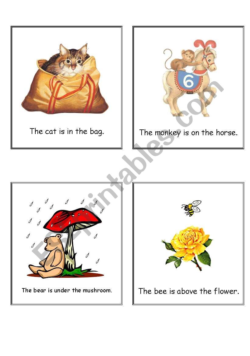 Animals and prepositions of place