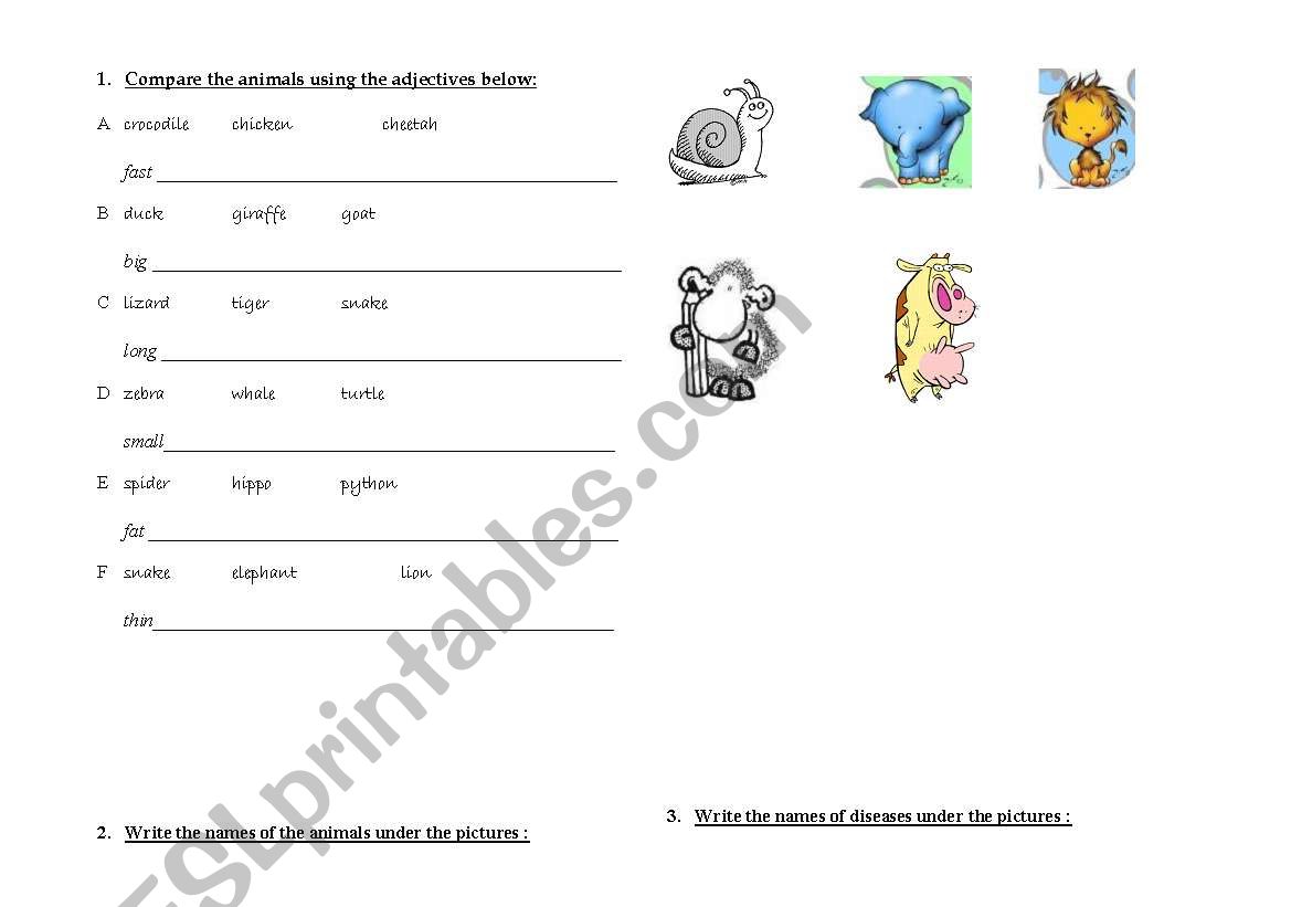 a test on animals, comparisons, health problems, 3 pages