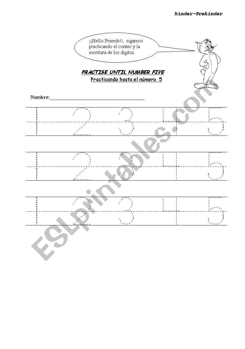 numbers worksheet