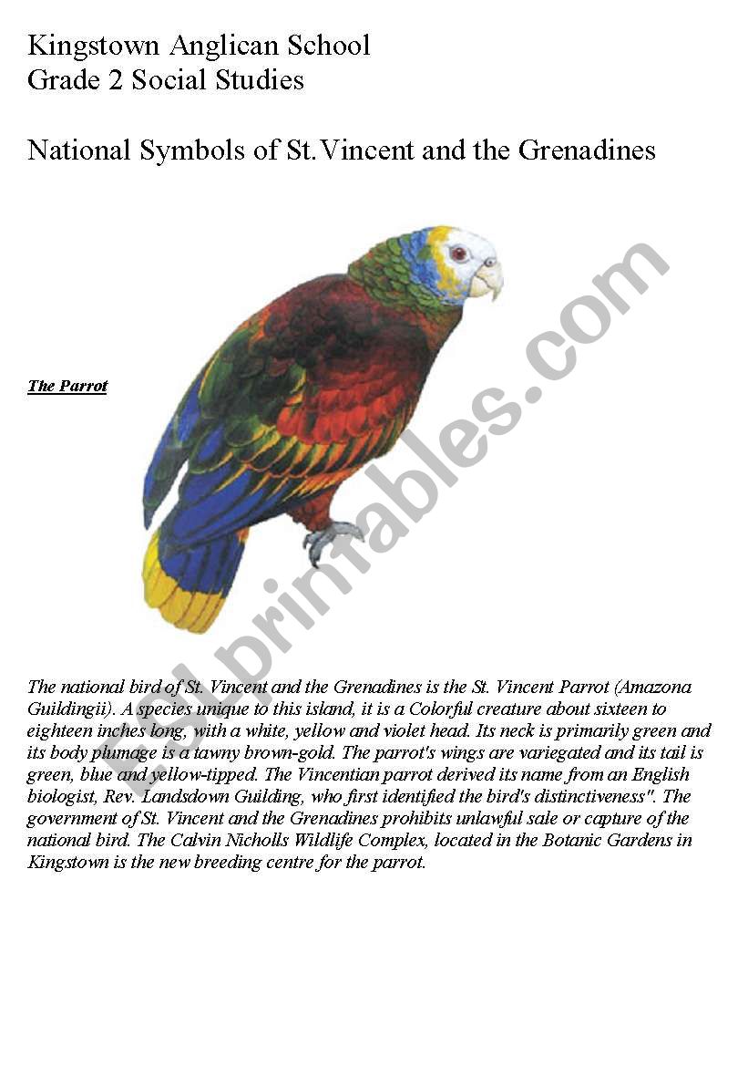 The national bird and flag of SVG