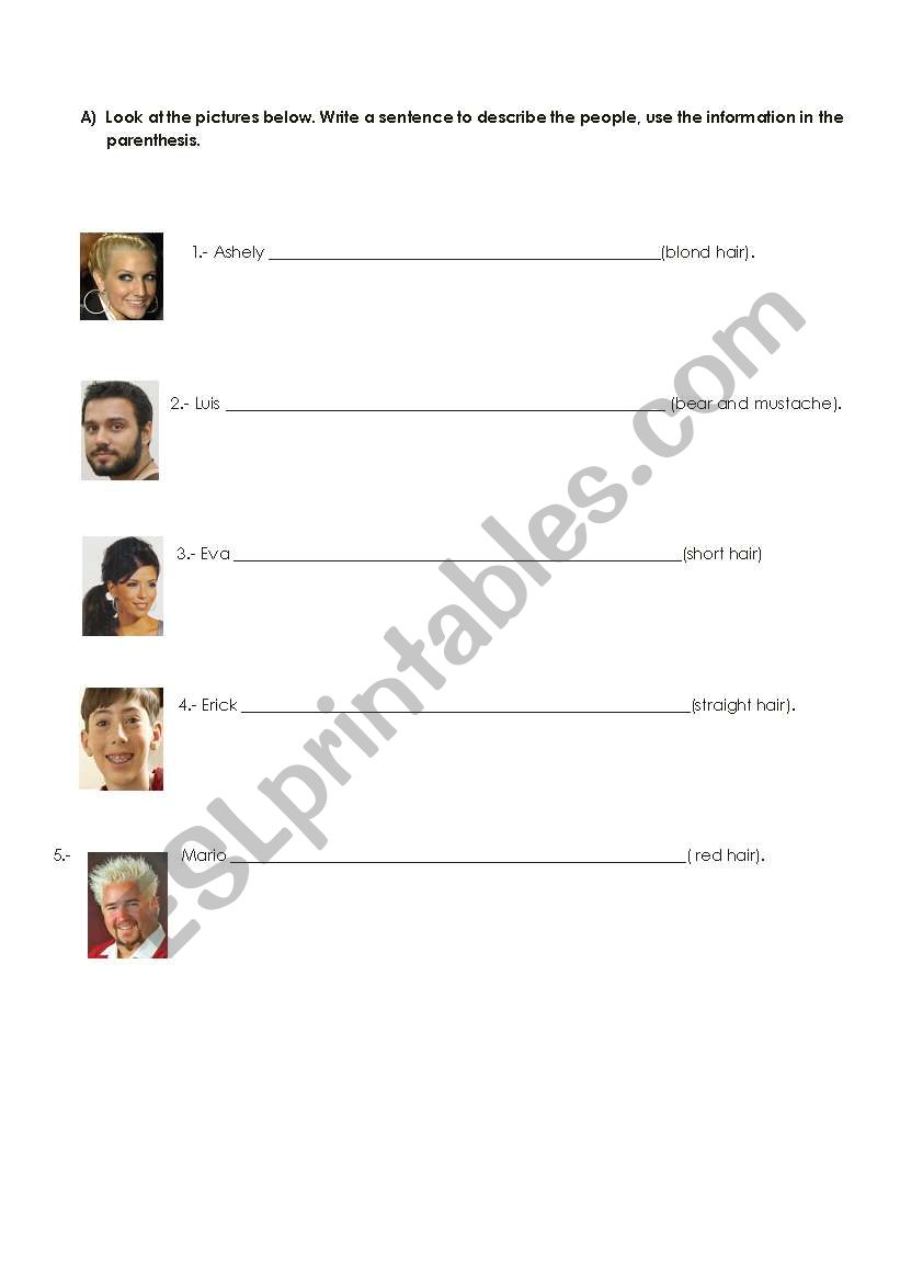 characteristics worksheet