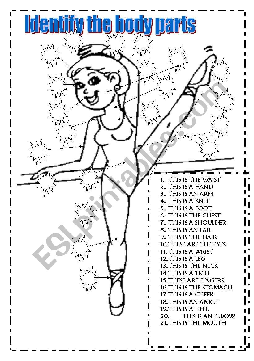 IDENTIFY THE BODY PARTS worksheet